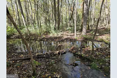 1243 US Hwy 19, Meansville, GA 30256 - Photo 86