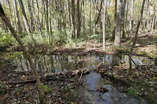 1243 US Hwy 19, Meansville, GA 30256 - Photo 86