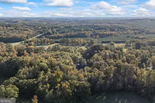 135 Canters Run, Homer, GA 30547 - Photo 96