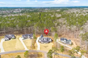 2151 Osprey Poynte, Greensboro, GA 30642 - Photo 64