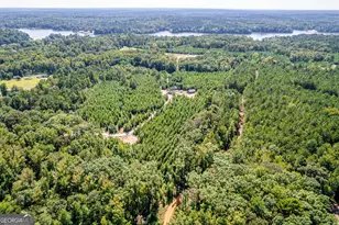 445 Avant Road Bear Creek Rd, Eatonton, GA 31024 - Photo 54