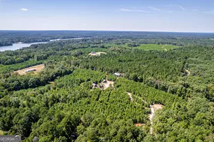 445 Avant Road Bear Creek Rd, Eatonton, GA 31024 - Photo 58