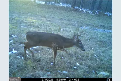 592 Andrew Caldwell Road #TRACT 2A, Lexington, GA 30648 - Photo 52