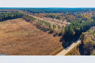 592 Andrew Caldwell Road #TRACT 2A, Lexington, GA 30648 - Photo 66