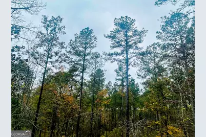 592 Andrew Caldwell Road #TRACT 2A, Lexington, GA 30648 - Photo 32