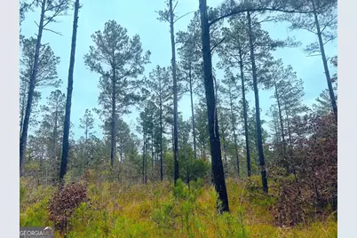 592 Andrew Caldwell Road #TRACT 2A, Lexington, GA 30648 - Photo 28