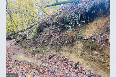 592 Andrew Caldwell Road #TRACT 2A, Lexington, GA 30648 - Photo 44