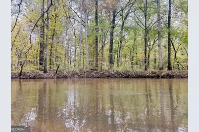 592 Andrew Caldwell Road #TRACT 2A, Lexington, GA 30648 - Photo 56