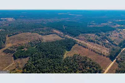 592 Andrew Caldwell Road #TRACT 2A, Lexington, GA 30648 - Photo 72