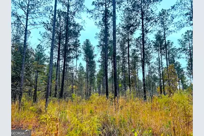 592 Andrew Caldwell Road #TRACT 2A, Lexington, GA 30648 - Photo 10