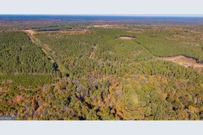 592 Andrew Caldwell Road #TRACT 2A, Lexington, GA 30648 - Photo 60