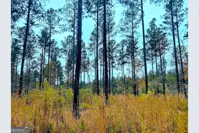 592 Andrew Caldwell Road #TRACT 2A, Lexington, GA 30648 - Photo 1