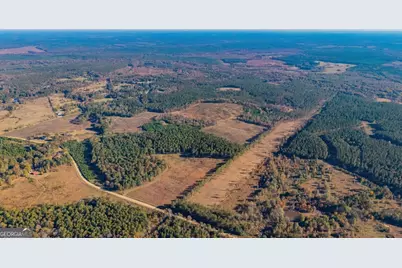 592 Andrew Caldwell Road #TRACT 2A, Lexington, GA 30648 - Photo 4