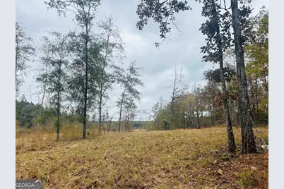 592 Andrew Caldwell Road #TRACT 2A, Lexington, GA 30648 - Photo 62