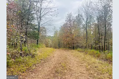 592 Andrew Caldwell Road #TRACT 2A, Lexington, GA 30648 - Photo 38