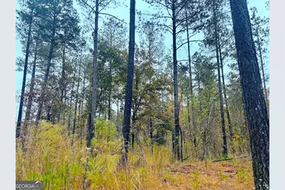 592 Andrew Caldwell Road #TRACT 2A, Lexington, GA 30648 - Photo 16