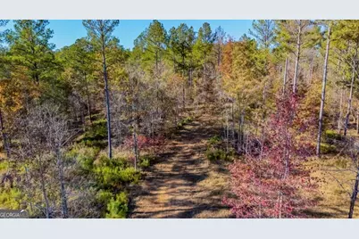 592 Andrew Caldwell Road #TRACT 2A, Lexington, GA 30648 - Photo 50