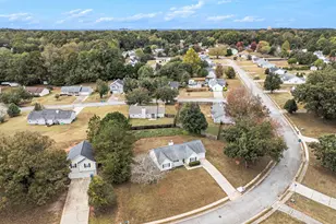 248 Fern Ct, Hampton, GA 30228 - Photo 4