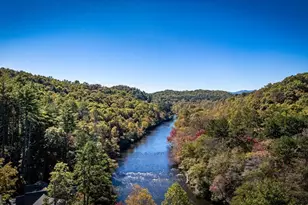 Lot 19 River Chase Way, Mineral Bluff, GA 30559 - Photo 42