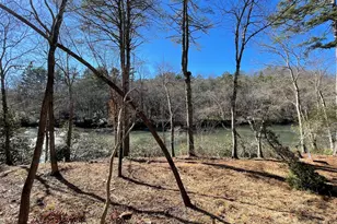 Lot 19 River Chase Way, Mineral Bluff, GA 30559 - Photo 36