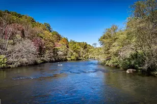 Lot 19 River Chase Way, Mineral Bluff, GA 30559 - Photo 46