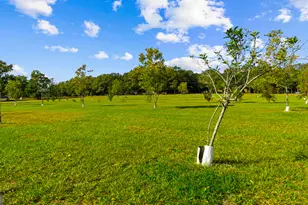 7805 Nowell Rd S, Macon, GA 31216 - Photo 58