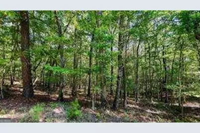 925 Arrow Trail, Waleska, GA 30183 - Photo 6