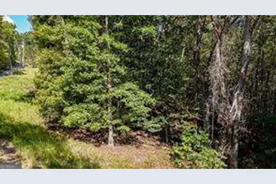 925 Arrow Trail, Waleska, GA 30183 - Photo 4