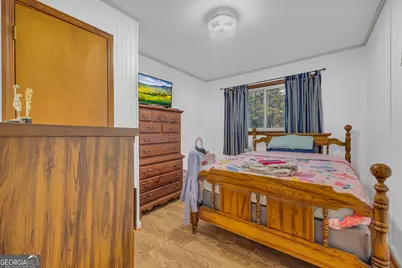 2845 Hunters Creek Road, Carnesville, GA 30521 - Photo 22