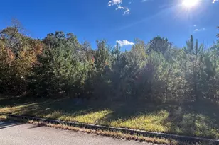 165 Honey Ln, Fayetteville, GA 30214 - Photo 1