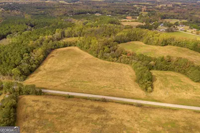 0 Airline School Road #TRACT 5, Bowersville, GA 30516 - Photo 16