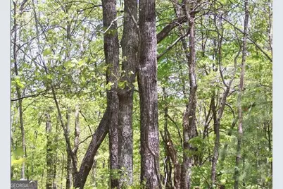 0 Thunderhead Lane, Dillard, GA 30537 - Photo 6