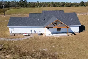 4419 Altamaha School Rd, Baxley, GA 31513 - Photo 60