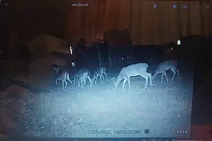 153 N Whatley Rd, Lagrange, GA 30240 - Photo 80