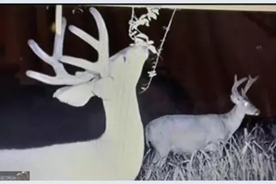 153 N Whatley Road, Lagrange, GA 30240 - Photo 82