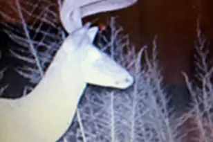 153 N Whatley Rd, Lagrange, GA 30240 - Photo 86