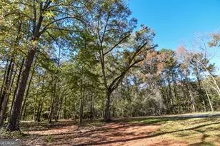 6060 Ga Hwy 109, Molena, GA 30258 - Photo 62