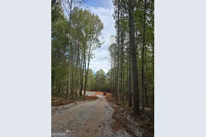 1620 Bar J Road, Temple, GA 30179 - Photo 6