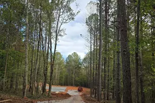 1620 Bar J Rd, Temple, GA 30179 - Photo 6