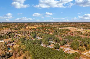 121 Turner Creek Dr, Hampton, GA 30228 - Photo 56