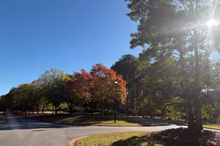 117 Covington Pl, Athens, GA 30606 - Photo 32