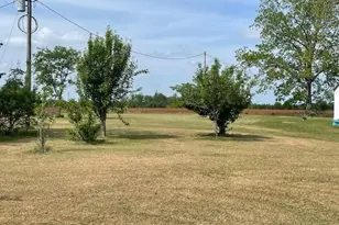 16877 Ga Hwy 129 S, Cobbtown, GA 30420 - Photo 38