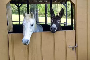 1654A Ward Mountain Rd NE, Rome, GA 30161 - Photo 94