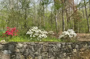 1654A Ward Mountain Rd NE, Rome, GA 30161 - Photo 90