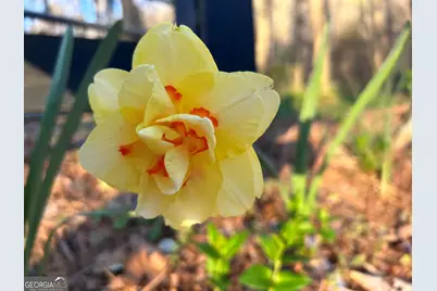 1654 A Ward Mountain Road NE #A, Rome, GA 30161 - Photo 98