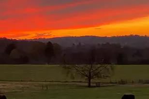 1654A Ward Mountain Rd NE, Rome, GA 30161 - Photo 86