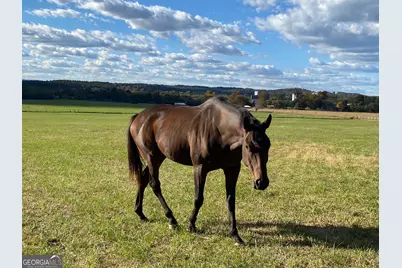 1654 A Ward Mountain Road NE #A, Rome, GA 30161 - Photo 106