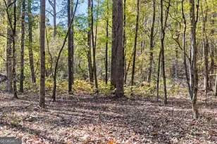 4893 New Franklin Rd, Hogansville, GA 30230 - Photo 80