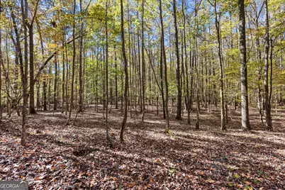 4893 New Franklin Road, Hogansville, GA 30230 - Photo 84