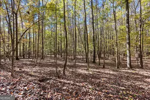 4893 New Franklin Rd, Hogansville, GA 30230 - Photo 84